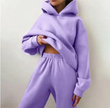 Hoodie Sweat Suit